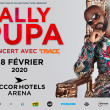 concert de fally ipupa à paris